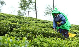 lakshmi group Thanjavur