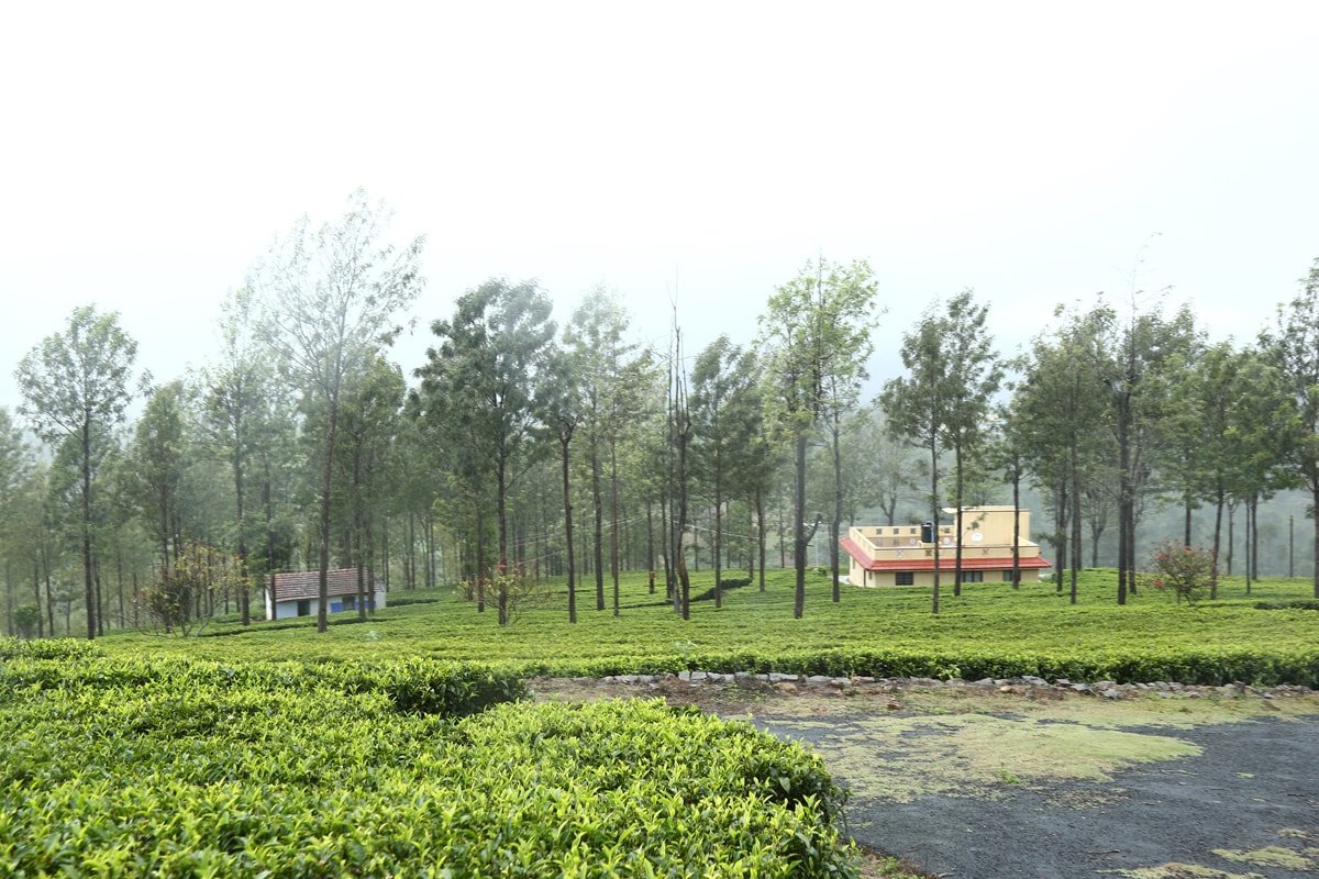Mannovarai Tea Estate